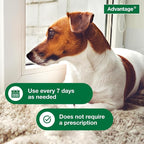 Advantage Dog Flea & Tick Shampoo for Puppies & Adult Dogs | Kills Fleas & Ticks | 24 oz.