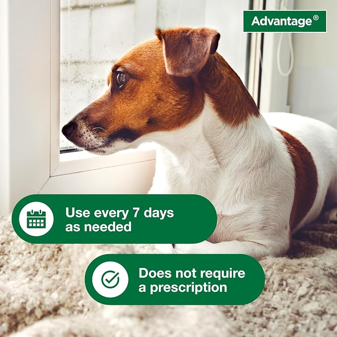 Advantage Dog Flea & Tick Shampoo for Puppies & Adult Dogs | Kills Fleas & Ticks | 12 oz.