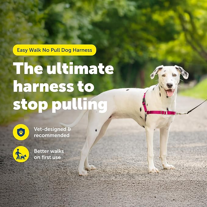 PetSafe Easy Walk No-Pull Dog Harness - Ultimate Harness to Help Stop Pulling - Pull-Free Walks - Take Control & Teach Better Leash Manners - Patented Martingale Loop Design - Raspberry, Medium/Large