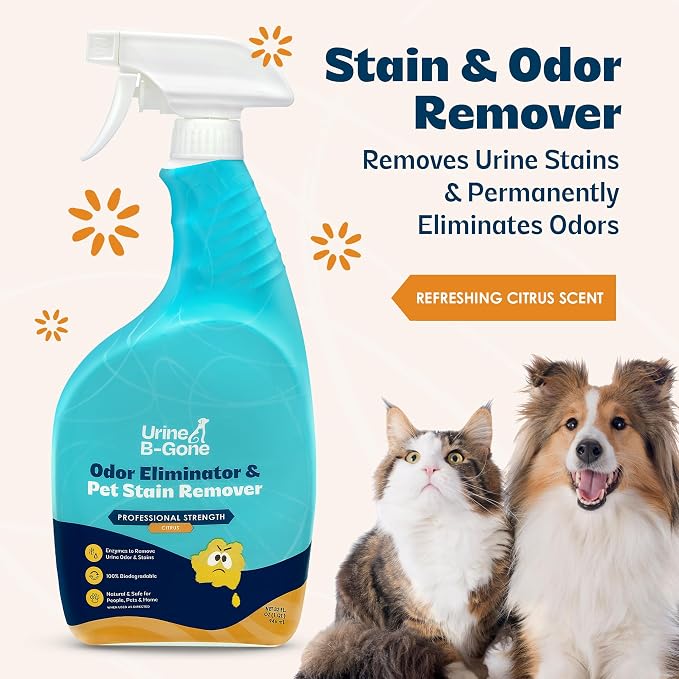 Urine B-Gone Enzyme Cleaner for Human, Cat & Dog Urine, Citrus, 32 oz | Enzyme cleaner for human, cat and dog urine on laundry, carpets and more; citrus scent, 32 fl oz.