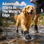 Dog Boots & Paw Protectors, Dog Shoes for Medium Large Dogs, Winter Snowy Day, Summer Hot Pavement, Outdoor & Indoor Hardfloors Skid-Resistant Sole, Black with Reflective Rugged 4PCS-Size2