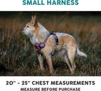 Embark Adventure Small Dog Harness – No-Pull, Reflective Trim, Military-Grade Nylon, Front Clip with Gel-Lined Handle, Soft & Padded Puppy Harness