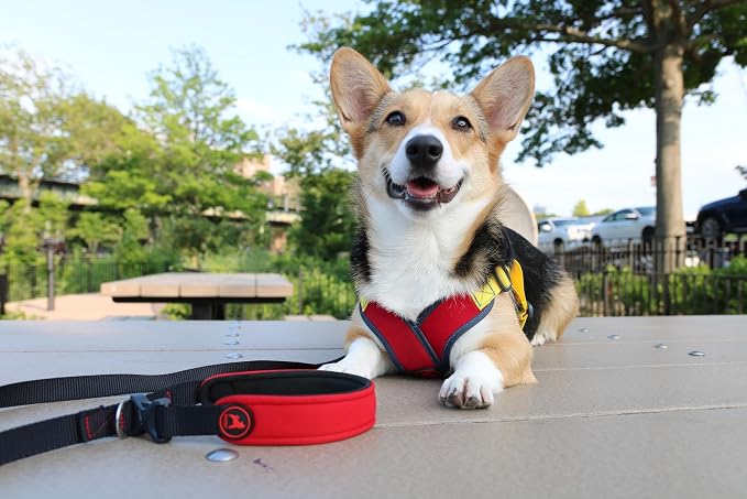Gooby Escape Free Sport Leash - Pink, 4 FT - Neoprene Dog Leash with Quick Release Buckle for Small, Medium and Large Dogs