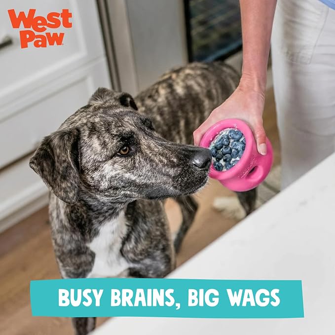 WEST PAW Zogoflex Toppl Interactive Treat Dispensing Puzzle Dog Toy for Mental Stimulation & Enrichment-Holds Kibble & Treats-Lickable, Freezable & Dishwasher Safe-Made in USA-Small-Teal
