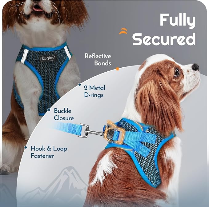 Eagloo Small Dog Harness and Leash Set, Step in Extra Small Puppy Pet Vest | Light, Soft, Breathable Air Mesh, Easy on and off with Hook & Loop, Reflective for Safe Walking, Blue, XXS