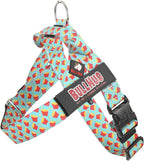 BULLHUG Adjustable Dog Harness– No Pull, No Choke – for English Bulldogs, French Bulldogs, Pugs & Broad-Chested Breeds – Easy, Safe Walks (Fries, Medium)