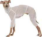 D Doggy Star Italian Greyhound Clothes Sheer Mesh Onesie Summer Jumpsuit Breathable Full Body Protection for Outdoor Walks Small Whippet Fit (L,Sheer Mesh White)