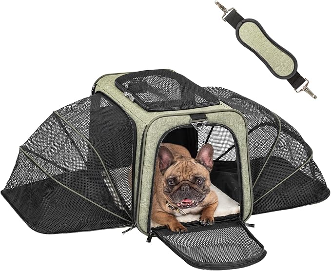 Petsfit Large Double Expandable Cat Carrier for Large Cats and Small Dogs | 19 x 12 x 12 in; dual-side expansion for large cats and small dogs, with anti-sag frame and locking zippers; up to 18 lb.
