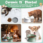 Hushee 4 Pcs Ceramic Raised Cat Food Bowls Elevated Tilted Dish Anti Vomiting Food or Water Bowls Pet Supplies