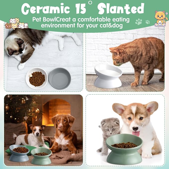 Hushee 4 Pcs Ceramic Raised Cat Food Bowls Elevated Tilted Dish Anti Vomiting Food or Water Bowls Pet Supplies