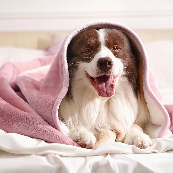gogobunny Waterproof Bed Blanket, Reversible Sherpa Fleece Throw Blanket for Dog Puppy Cat, Furniture Cover Protects Bed Couch Sofa from Liquid Pee and Pet Fur (Pink, 50x60 inches)