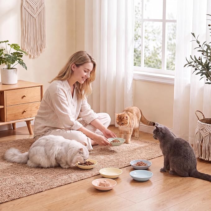 Ceramic Cat Food Bowl Set - 5.6 inch Colorful Cat Feeding Bowls with Non Slip Pads - Wide Shallow Whisker Friendly Plates Cute Dish - Microwave and Dishwasher Safe - 6 Pack - 5.3 oz