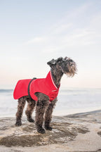 Goldpaw Rainpaw Waterproof Dog Raincoat - Durable Dog Rain Jacket for Medium Dogs - Easy to Wear, Adjustable, Premium Pet Outerwear - Made in The USA - Machine Washable - Yellow - Size 20