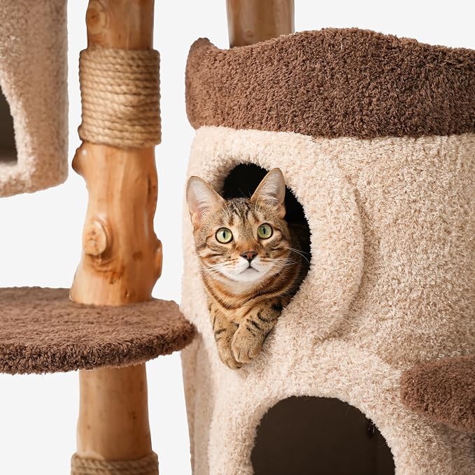 Modern Cat Tree for Indoor Large Cats & Multi-Cat Households, 68'' Solid Wood Cat Tower with 3 Condos, Heavy Duty Cat Tower with Scratching Post, Multi-Level Cat House, Perch, Hammock, Hideaway, Brown