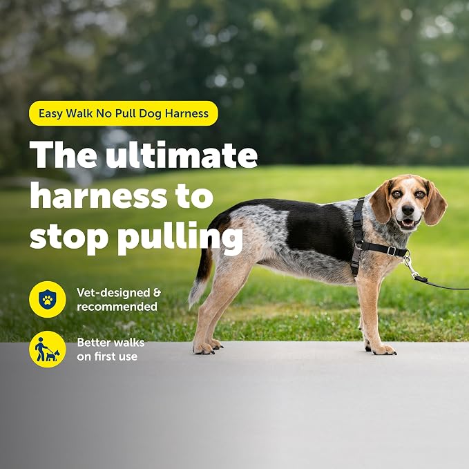 PetSafe Easy Walk Harness for Dogs - Pull-Free Walks - Patented Martingale Loop Design - Front Chest Leash Attachment - Comfort Straps - Breathable Harness Design - Small/Medium, Black/Silver