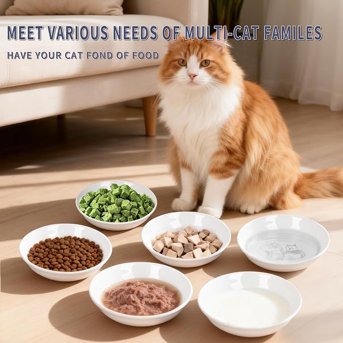 Non-Slip Cat Food Bowls, 6 Pack Whisker-Friendly Ceramic Bowls | 5.6-Inch Wide Shallow Bowl, Silicone Base, Food-Safe Ceramic, Dishwasher & Microwave Safe, Easy Clean