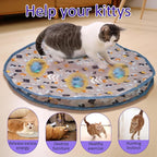 Giociv Interactive Cat Toys Ball Fast Rolling in Pouch, Motion Activate Chirping Cat Toy Hide and Seek Mouse Catching Game (Blue)