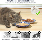 Selamica Ceramic Cat Bowls, 6 Inch Wide Shallow Cat Food Bowl for Relief Whisker Fatigue, Set of 6, Vintage Blue