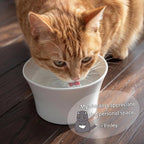 Elevated Cat Bowls for Water – Whisker & Neck Fatigue Shallow Cat Dishes – Raised Bowl for Indoor Cats – Vet-Recommended Height, Modern Pedestal Design – Non-Slip & Dishwasher-Safe – 8 oz Powder Blue