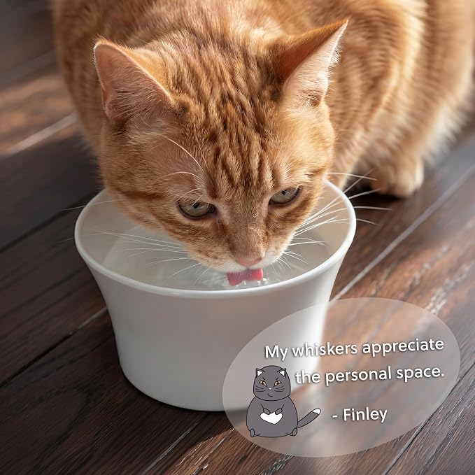 Elevated Cat Bowls for Water – Whisker & Neck Fatigue Shallow Cat Dishes – Raised Bowl for Indoor Cats – Vet-Recommended Height, Food-Grade Melamine – Non-Slip & Dishwasher-Safe – 8 oz Original