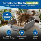 KittyGoHere Senior Cat Litter Box, Jumbo Litter pan, 2 Pack Misty Gray | Open Top Low Entrance Kitty Litter Box, Lightweight Low Entry Litters Box, Durable Design for Easy Cleaning, Made in USA