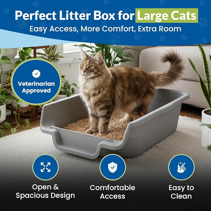 KittyGoHere Senior Cat Litter Box, Jumbo Litter pan, 2 Pack Misty Gray | Open Top Low Entrance Kitty Litter Box, Lightweight Low Entry Litters Box, Durable Design for Easy Cleaning, Made in USA