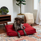Happy Hounds Milo Square Tufted Pillow Dog Bed, Scarlet, Medium (32" x 32")