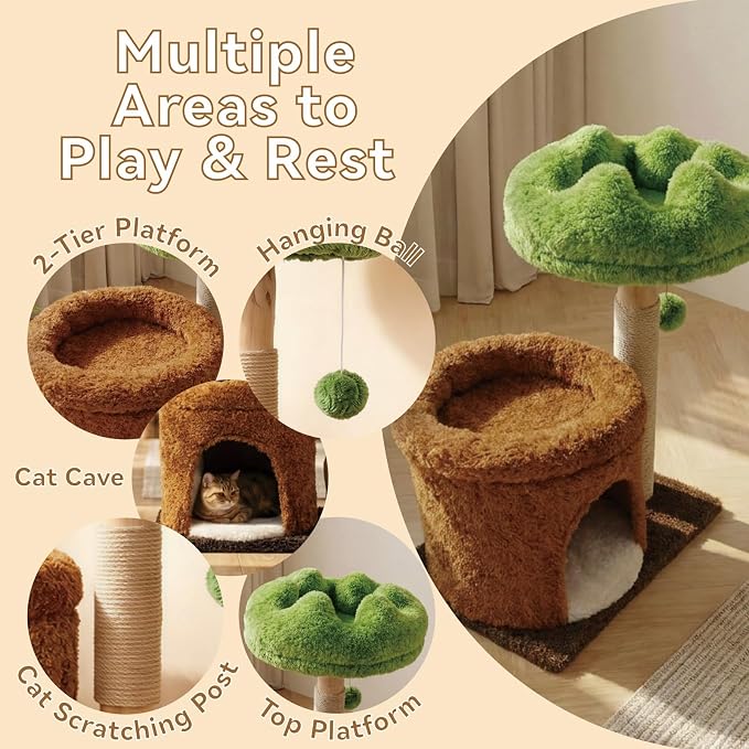 STILLCOVE Small Cat Tree with Scratching Post: Solid Wood Kitten Tower | Cloud Flower Bed, Real Nature Wood, Mini Short Modern Aesthetic Mau Cute House Condo Perch, Hanging Ball, Indoor cats