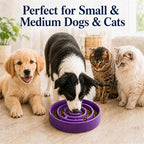 Ceramic Slow Feeder Dog Bowl, 1.5 Cup Puzzle Dish for Small Medium Dogs | Glazed ceramic maze bowl with 1.5-cup capacity for dry or wet food, sized for small and medium dogs