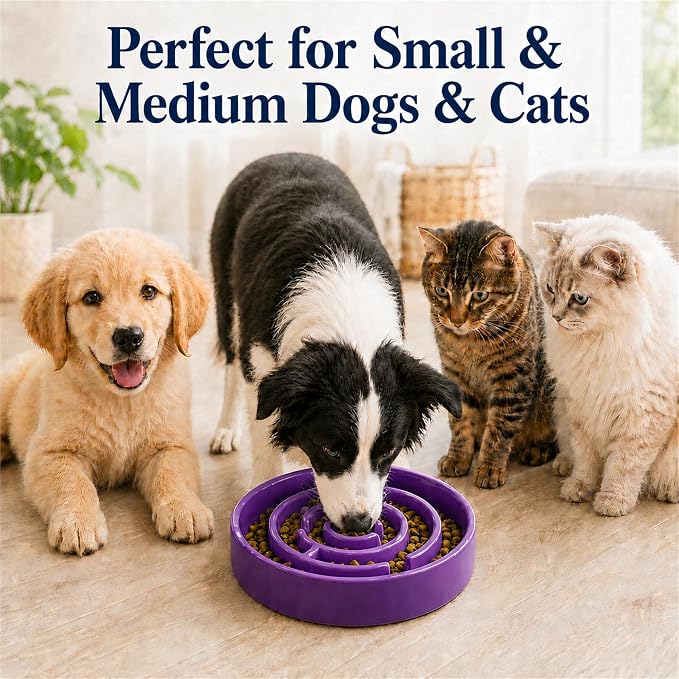 Ceramic Slow Feeder Dog Bowl, 1.5 Cup Puzzle Dish for Small Medium Dogs | Glazed ceramic maze bowl with 1.5-cup capacity for dry or wet food, sized for small and medium dogs