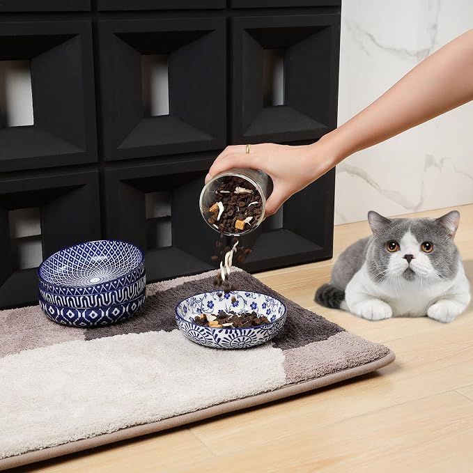 Selamica Ceramic Cat Food Bowl Set of 4, 5.6 Inch Wide Shallow Cat Bowls/Dishes for Food and Water, Vintage Blue