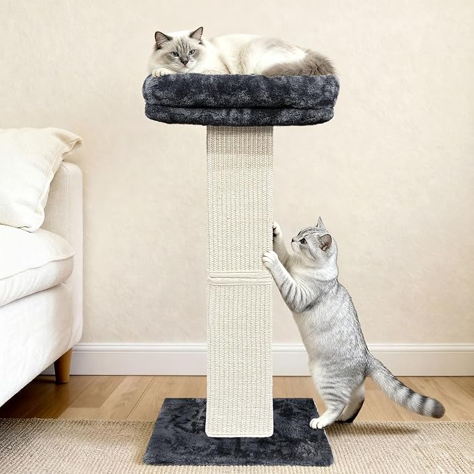 Cat Scratching Post with Plush Perch for Indoor Cats, 32 Inch | Removable & Washable Cover, Sisal Scratcher With a Large Bed, Heavy Duty Post for Cat Adults to Protect Furniture, Dark Grey