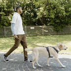 S-ETOVUS-Chain Dog Leash, Bite-Proof Metal Leash, with Padded Handle | Three Sizes 7.25FT/5.2FT/4FT, Woven From Nylon Rope And Chain, Durable And Bite-Resistant, Comfortable With Padded Handles