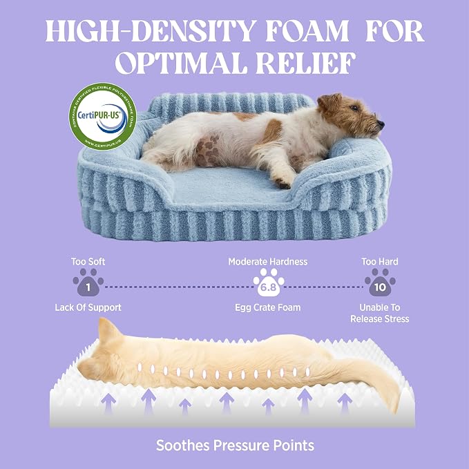 LE SURE Cute Cozy High Back Orthopedic Small Dog Bed with Sides, 24" Blue | Waterproof Pet Bed with Sides, Aesthetic Comfy Egg-Crate Foam Pet Couch Sofa, Removable Washable Cover, Non-Slip Bottom