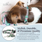 Lucky Love Dog, Tropical Matching Dog Collar & Leash Set, Soft & Comfy, Vivid Pink Color Collar and Leash for Female Male Dogs - (Medium, Laguna Combo)