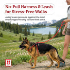 Harness Lead No Pull Dog Harness and Leash Set, Anti Pull Dog Harness, One-Piece Cushioned Rope Safely Prevents Escaping and Pulling (Small/Medium, Peacock/Blue/Lime)