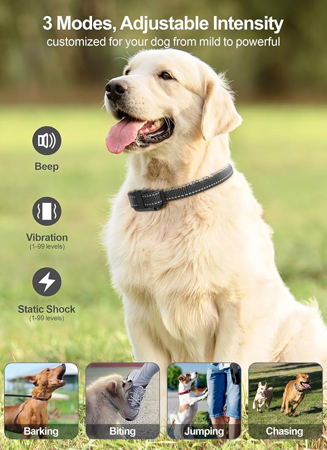 Dog Training Collar with Remote - Large Dog Shock Collar, 3 Pack | 2600 ft Range, IP65 Waterproof, Flashlight, Beep Vibe Adjustable Static Modes for Recall Guide, Train Sit, Bad Dog Behaviors
