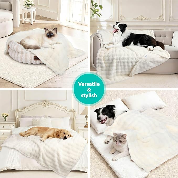 Dog Blankets Washable Pet Blanket - Fluffy Fuzzy Cat Puppy Blanket with Premium 300GSM 3D Fleece Bubble for Pet Kitten Doggy, Cream, 30x40IN