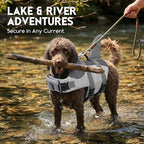 ASENKU Dog Life Jacket - Pet Safety Vest for Swimming & Boating, Shark Life Jacket with Floatation, Dog Lifesavers Swimsuits for Small Medium Large Dogs (Grey, S)