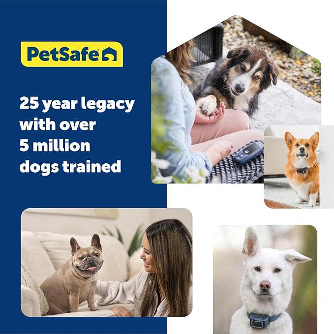 PetSafe Core Dog Trainer Remote Collar, 1000 Ft Range, 15 Static Levels | Tone/Vibration//15 Levels of Static, Waterproof Collar, 1000-Ft Range for Off-Leash Obedience Training
