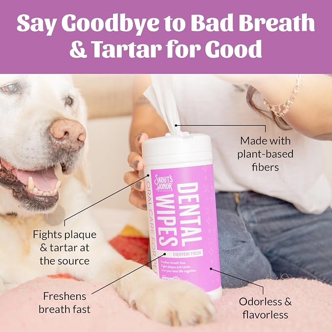 SKOUT'S HONOR Fresher Breath Dental Wipes for Dogs and Cats, 50 Sheets | Fights Plaque and Tartar, coactiv+ Formula, Freshens Breath Fast, No Brushing Required, 2-Pack