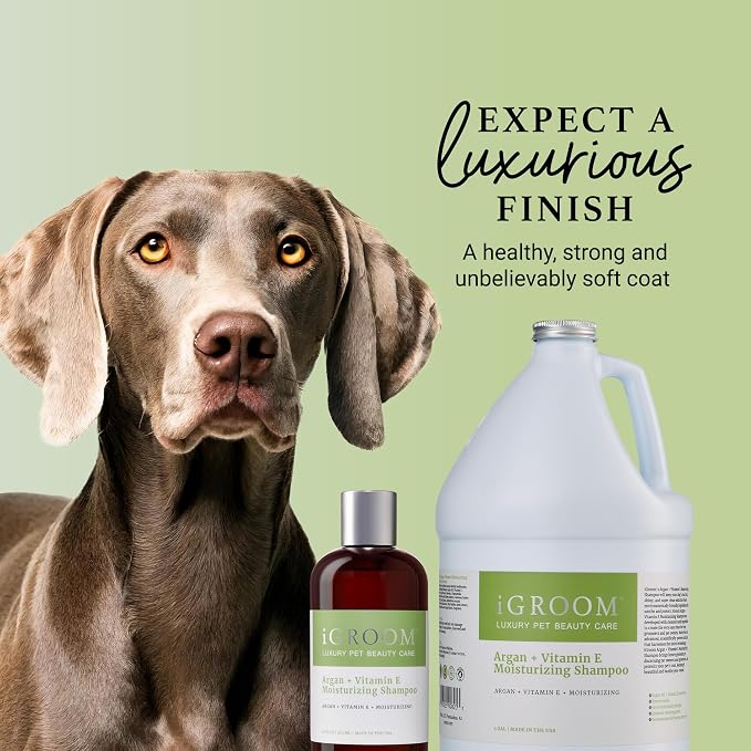 iGroom Argan+Vitamin E Dog Shampoo, Groom Like a Professional, Enhanced Cleaning Power, Reccommended pH Balance, Made in USA, 16 oz