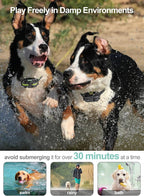 Dog Training Collar with Remote - 2 Pack Shock Collar for Medium Large Dogs | 2600 ft Range, IP65 Waterproof, Flashlight, Beep Vibe Adjustable Static Modes for Recall Guide, Train Sit, Bad Dog Behaviors