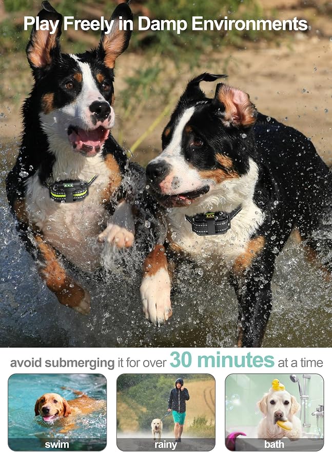 Dog Training Collar with Remote - 2 Pack Shock Collar for Medium Large Dogs | 2600 ft Range, IP65 Waterproof, Flashlight, Beep Vibe Adjustable Static Modes for Recall Guide, Train Sit, Bad Dog Behaviors