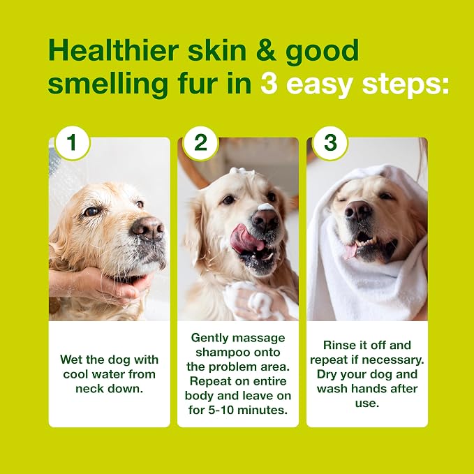 Douxo S3 SEB Dog Seboregulating Shampoo, 0.5% Ophytrium, 16.9 fl oz | Seborrhea Treatment for Dogs & Cats, Helps Control Dandruff, Unpleasant Odors & Oily/Flaky Skin, 0.5% Ophytrium, 16.9 fl oz