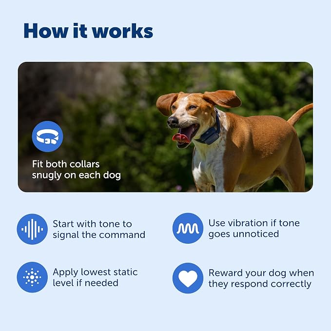 PetSafe Core Dog Trainer with Remote and Add-A-Dog Collar Waterproof Training Collar 1000-Foot Range Tone, Vibration and 15 Levels of Static Built-in LED Light