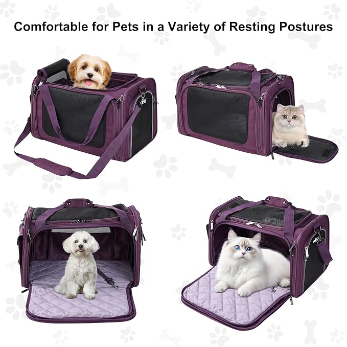 EliteField Deluxe Soft Pet Carrier for Cats and Dogs (3-Year Warranty) | Airline Approved, Waterproof Fabric, Scratch-Resistant Mesh, Expandable Mat, Built-In Leash, Suitcase Sleeve, Seat Belt Loops