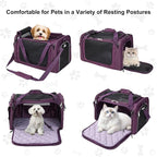EliteField Deluxe Soft Pet Carrier for Cats and Dogs (3-Year Warranty) | Airline Approved, Waterproof Fabric, Scratch-Resistant Mesh, Expandable Mat, Built-In Leash, Suitcase Sleeve, Seat Belt Loops