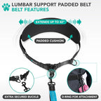 PetAmi Hands Free Double Dog Leash with Padded Lumbar Waist Belt, 360 No-Tangle Swivel Coupler, Bungee Shock Absorbing Dual Leash for Two Dogs Medium Large, Reflective, Turquoise