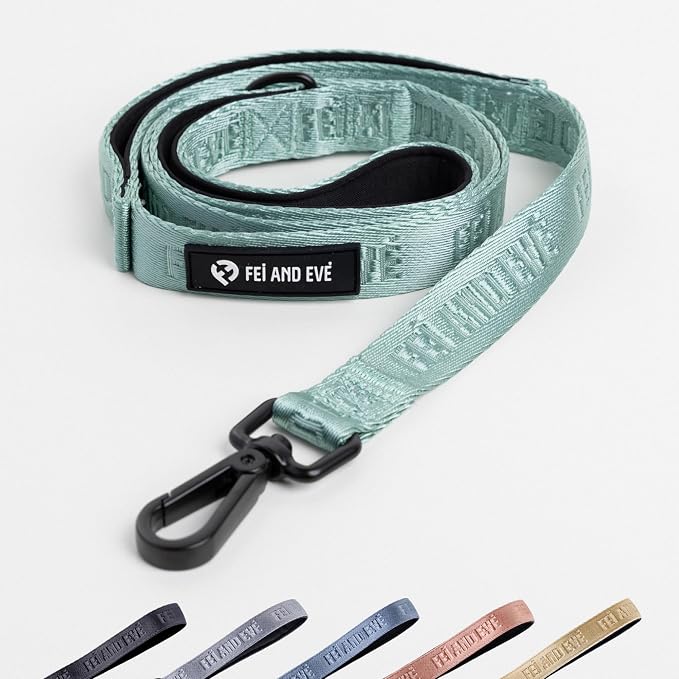 Fei & Eve Classic Dog Leash | Soft-Touch 210D Nylon, Dual Padded Handles, Traffic Handle, Tangle-Free, Heavy Duty, Glacier Green, 4FT